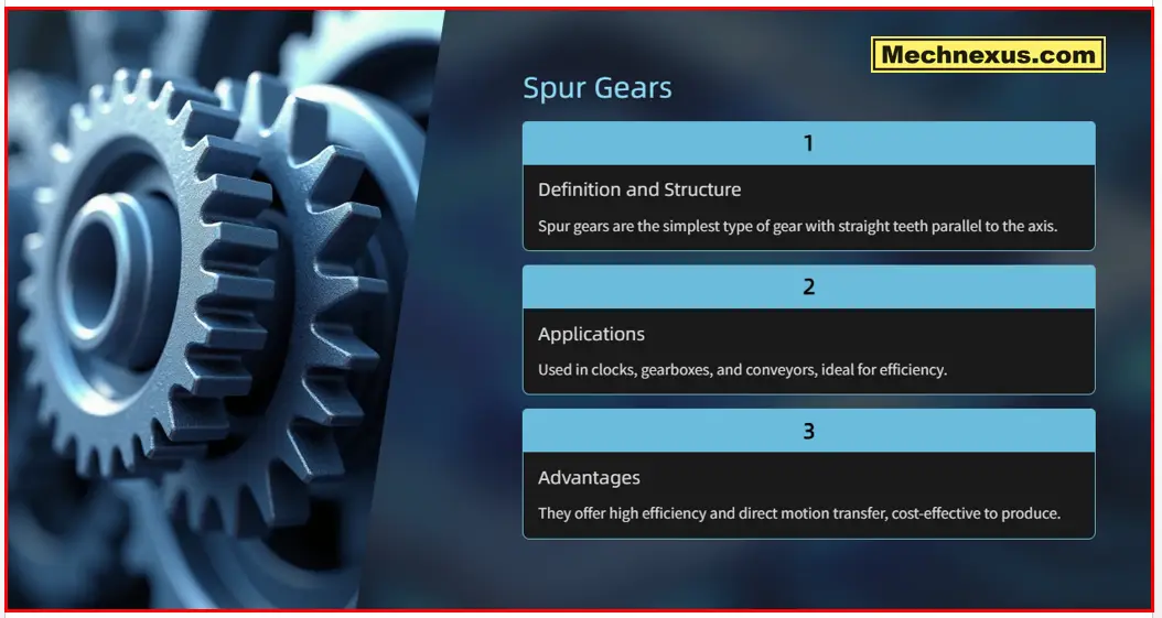 Spur Gear